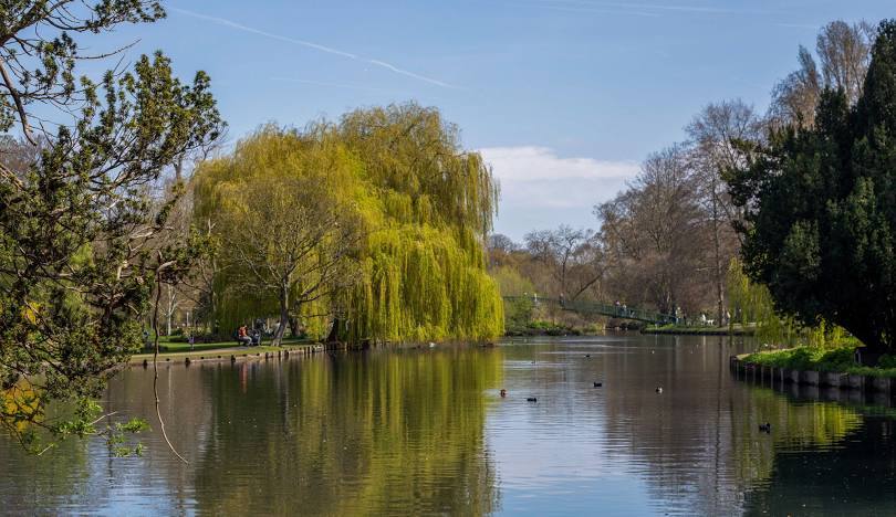 Beddington park